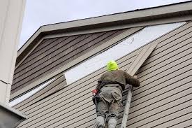 Best Custom Siding Design  in Hammonton, NJ